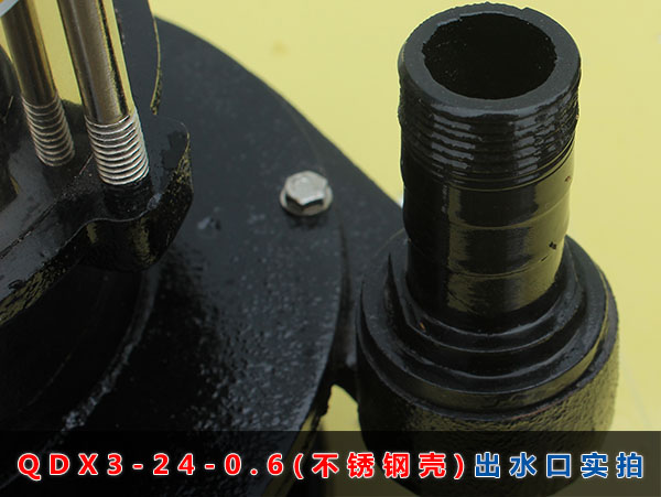 QDX3-24-0.6（不锈钢壳）出水口