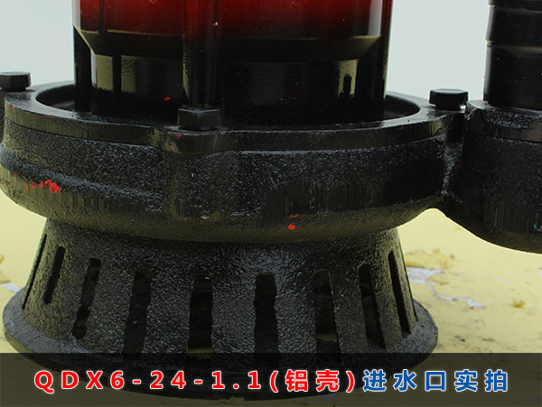 QDX6-24-1.1（铝壳）进水口实拍